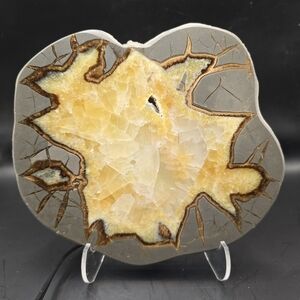 Septarian slab w night light stand #6